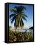 Jetty and Palm Tree, Villa Bay, Young Island, St. Vincent, Windward Islands, West Indies, Caribbean-Richardson Rolf-Framed Stretched Canvas