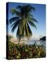 Jetty and Palm Tree, Villa Bay, Young Island, St. Vincent, Windward Islands, West Indies, Caribbean-Richardson Rolf-Stretched Canvas