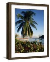 Jetty and Palm Tree, Villa Bay, Young Island, St. Vincent, Windward Islands, West Indies, Caribbean-Richardson Rolf-Framed Photographic Print