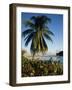 Jetty and Palm Tree, Villa Bay, Young Island, St. Vincent, Windward Islands, West Indies, Caribbean-Richardson Rolf-Framed Photographic Print