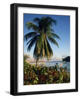 Jetty and Palm Tree, Villa Bay, Young Island, St. Vincent, Windward Islands, West Indies, Caribbean-Richardson Rolf-Framed Photographic Print