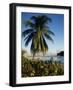 Jetty and Palm Tree, Villa Bay, Young Island, St. Vincent, Windward Islands, West Indies, Caribbean-Richardson Rolf-Framed Photographic Print