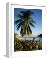 Jetty and Palm Tree, Villa Bay, Young Island, St. Vincent, Windward Islands, West Indies, Caribbean-Richardson Rolf-Framed Photographic Print