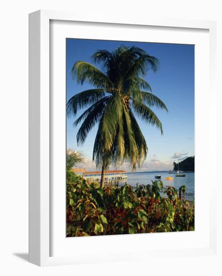 Jetty and Palm Tree, Villa Bay, Young Island, St. Vincent, Windward Islands, West Indies, Caribbean-Richardson Rolf-Framed Photographic Print