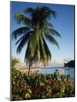 Jetty and Palm Tree, Villa Bay, Young Island, St. Vincent, Windward Islands, West Indies, Caribbean-Richardson Rolf-Mounted Photographic Print