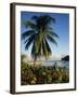 Jetty and Palm Tree, Villa Bay, Young Island, St. Vincent, Windward Islands, West Indies, Caribbean-Richardson Rolf-Framed Photographic Print