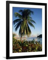 Jetty and Palm Tree, Villa Bay, Young Island, St. Vincent, Windward Islands, West Indies, Caribbean-Richardson Rolf-Framed Photographic Print