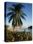 Jetty and Palm Tree, Villa Bay, Young Island, St. Vincent, Windward Islands, West Indies, Caribbean-Richardson Rolf-Stretched Canvas