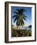 Jetty and Palm Tree, Villa Bay, Young Island, St. Vincent, Windward Islands, West Indies, Caribbean-Richardson Rolf-Framed Photographic Print