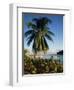 Jetty and Palm Tree, Villa Bay, Young Island, St. Vincent, Windward Islands, West Indies, Caribbean-Richardson Rolf-Framed Photographic Print