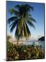 Jetty and Palm Tree, Villa Bay, Young Island, St. Vincent, Windward Islands, West Indies, Caribbean-Richardson Rolf-Mounted Photographic Print