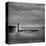 Jetty in Black and White-Shane Settle-Stretched Canvas