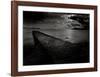 Jetty near the Palm Beach-Olivier Meriel-Framed Art Print