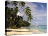 Jetty off Pigeon Point, Tobago, Caribbean-John Miller-Stretched Canvas