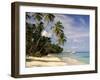 Jetty off Pigeon Point, Tobago, Caribbean-John Miller-Framed Photographic Print