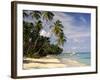 Jetty off Pigeon Point, Tobago, Caribbean-John Miller-Framed Photographic Print
