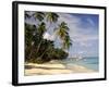 Jetty off Pigeon Point, Tobago, Caribbean-John Miller-Framed Photographic Print