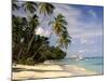 Jetty off Pigeon Point, Tobago, Caribbean-John Miller-Mounted Photographic Print