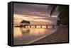 Jetty on Leleuvia Island at Sunset, Lomaiviti Islands, Fiji, South Pacific, Pacific-Ian Trower-Framed Stretched Canvas