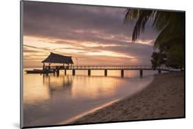 Jetty on Leleuvia Island at Sunset, Lomaiviti Islands, Fiji, South Pacific, Pacific-Ian Trower-Mounted Photographic Print