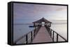 Jetty on Leleuvia Island, Lomaiviti Islands, Fiji-Ian Trower-Framed Stretched Canvas