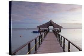 Jetty on Leleuvia Island, Lomaiviti Islands, Fiji-Ian Trower-Stretched Canvas