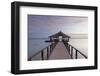 Jetty on Leleuvia Island, Lomaiviti Islands, Fiji-Ian Trower-Framed Photographic Print