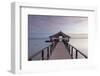 Jetty on Leleuvia Island, Lomaiviti Islands, Fiji-Ian Trower-Framed Photographic Print