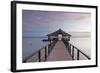 Jetty on Leleuvia Island, Lomaiviti Islands, Fiji-Ian Trower-Framed Photographic Print