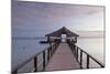 Jetty on Leleuvia Island, Lomaiviti Islands, Fiji-Ian Trower-Mounted Photographic Print