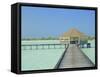 Jetty on the Island of Digofinolu in the Maldive Islands, Indian Ocean-Fraser Hall-Framed Stretched Canvas