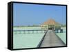 Jetty on the Island of Digofinolu in the Maldive Islands, Indian Ocean-Fraser Hall-Framed Stretched Canvas