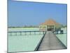 Jetty on the Island of Digofinolu in the Maldive Islands, Indian Ocean-Fraser Hall-Mounted Photographic Print