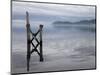 Jetty on the Old Penal Colony of Sarah Island in Macquarie Harbour, Tasmania-Julian Love-Mounted Photographic Print