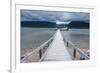 Jetty to the Western Brook Pond in the Gros Morne National Parknewfoundland, Canada, North America-Michael Runkel-Framed Photographic Print