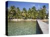 Jetty, Tobaco Caye, Belize, Central America-Jane Sweeney-Stretched Canvas