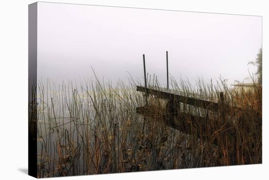 Jetty Wild-Andreas Stridsberg-Stretched Canvas