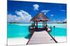 Jetty with Amazing Ocean View on Tropical Island-Martin Valigursky-Mounted Photographic Print