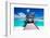 Jetty with Amazing Ocean View on Tropical Island-Martin Valigursky-Framed Photographic Print