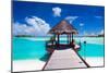 Jetty with Amazing Ocean View on Tropical Island-Martin Valigursky-Mounted Photographic Print