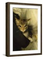 Jeune femme et petit garçon tenant un chat-John Hoppner-Framed Giclee Print