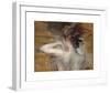 Jeune Fille Au Chignon-Giovanni Boldini-Framed Premium Giclee Print