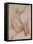 Jeune homme drapé, à demi agenouillé, vu de dos, présentant une coupe-Raffaello Sanzio-Framed Stretched Canvas