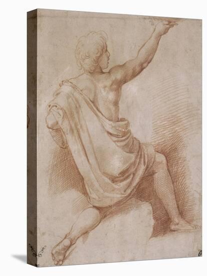 Jeune homme drapé, à demi agenouillé, vu de dos, présentant une coupe-Raffaello Sanzio-Stretched Canvas