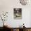 Jeune orientale assise sur un divan fumant dans un intérieur avec un écureil-Alexandre Gabriel Decamps-Giclee Print displayed on a wall