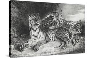 Jeune tigre jouant avec sa mère, lithographie 1er état-Eugene Delacroix-Stretched Canvas