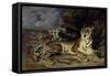 Jeune Tigre Jouant Avec Sa Mere-Eugene Delacroix-Framed Stretched Canvas