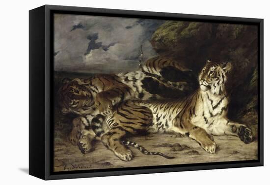 Jeune tigre jouant avec sa mère-Eugene Delacroix-Framed Stretched Canvas