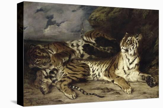 Jeune tigre jouant avec sa mère-Eugene Delacroix-Stretched Canvas