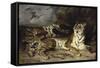 Jeune tigre jouant avec sa mère-Eugene Delacroix-Framed Stretched Canvas